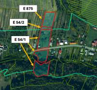 Sale Agrarian and forest land, Agrarian and forest land, Snina, Slovak