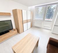 Living room of a one-bedroom apartment with wood-patterned flooring, TV, and modern furniture.
