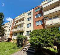 An apartment building in Senica on Hollého Street surrounded by greenery, suitable for a 1-room apartment.