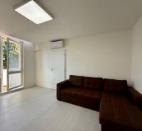 Living room in a studio apartment with a sofa, air conditioning, and a balcony.