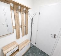 Entrance hall in a studio apartment with coat hooks, a mirror, and a wooden-patterned floor.