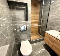 A bathroom with dark tiles, a shower corner, and a wall-mounted toilet in a studio apartment.