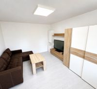 Living room in a one-room apartment with a brown sofa and a wooden-patterned floor.