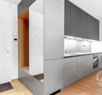 A kitchen in a 2-room apartment with modern cabinets, built-in appliances, and wooden flooring.