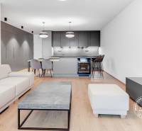 Living room with kitchen, gray sofa, dining table, light floor, 2-room apartment.