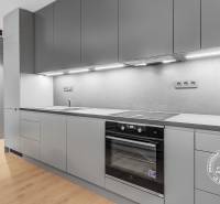 A kitchen in a 2-room apartment with gray cabinets, appliances, and wooden flooring.