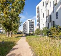 Apartment buildings on Seberíniho Street in Bratislava - Ružinov surrounded by greenery and trees.