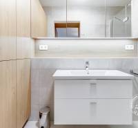 Bathroom with a sink, mirror, and wooden cabinet in a 2-room apartment.