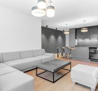 Living room with kitchen, gray sofa, dining table, kitchen unit, 2-room apartment.