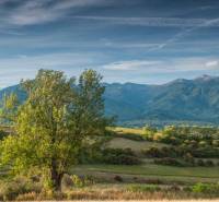 Landscape of agricultural and forest land near Sučany with a panorama of mountains and a tree in the foreground.