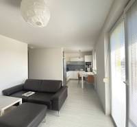 Living room in a 3-room apartment with a kitchen, leather sofa, and dining table.