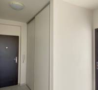 A hallway with dark doors, a built-in wardrobe, and an opening to a room in a 3-room apartment.