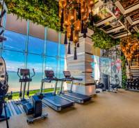 Luxury gym with a beach view within the apartment development.