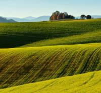 Agricultural and forest lands in Ladomirová with diverse greenery and trees on the horizon.