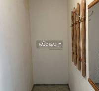 A narrow hallway in a one-room apartment with a wooden coat rack on the wall.
