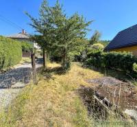 A garden at a family house in Banská Bystrica, grass, a tree, and a fence in the sun.