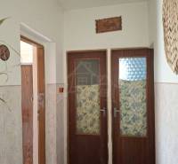 Hallway in a family house with patterned doors and plants.