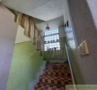 A staircase in a family house with flowers on the window and a railing.