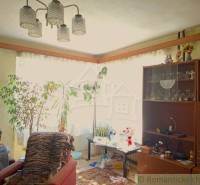 A living room in a family house with furniture and plants by a large window.