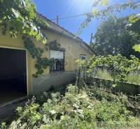 A family house in Nové Zámky with climbing plants on the facade and a neglected garden.