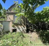 An older family house in Nové Zámky surrounded by greenery and nature.
