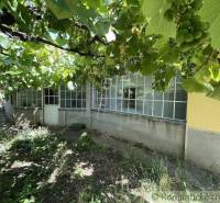 A garden at a family house in Nové Zámky with a vineyard and a glass veranda.