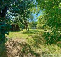 The garden of a family house in Gemerská Poloma with a lawn and trees in sunny weather.
