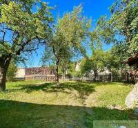 The garden of a family house in Gemerská Poloma, with fruit trees and a wooden fence.