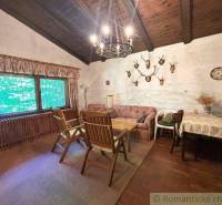 Interior space of a family house with a wooden ceiling, hunting decorations, and seating.