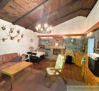 Rustic interior of a family house with a fireplace, hunting trophies, and a wooden ceiling.