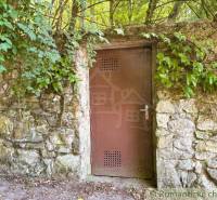 Stone wall with brown door, covered with green plants in Malacky.