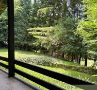 The garden of a family house in Malacky with a dense forest and lawn.