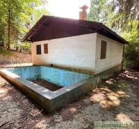 A family house in Malacky with a pool surrounded by greenery and a paved path.