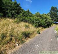 Of course. The image depicts a rural road surrounded by grass and trees in the Gardens in Žarnovica.