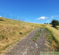 A dirt road in the Gardens in Žarnovica, surrounded by grassy slopes and a fence.