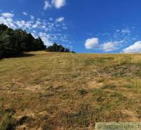 A grassy meadow with trees under a blue sky around the Gardens in Žarnovica.