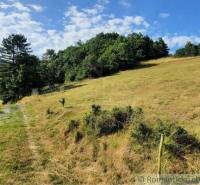 Hilly terrain with a path, grassy areas, and trees in Žarnovica, Záhrady.