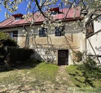 A blooming apple tree in front of a cottage in Rožňava and a simple stone path.