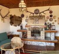 The interior of the cabin with hunting decorations, a fireplace, and fur reflects the unique charm of the property.