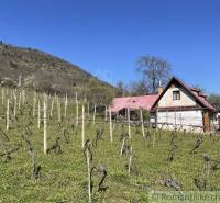 A cottage with a red roof surrounded by a vineyard, hills on the horizon. Unusual properties.