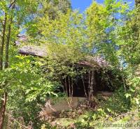 An old wooden cottage in Liptovský Mikuláš surrounded by dense forest vegetation and greenery.