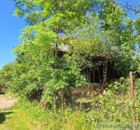 An abandoned cottage in Liptovský Mikuláš overgrown with trees and bushes.