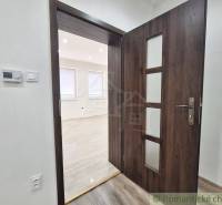 Interior of a family house with wooden doors and laminate flooring.