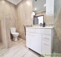 Bathroom in a family house with a shower, sink, and toilet.