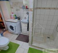 A bathroom in a family house with a shower and a washing machine, next to it is a toilet bowl.