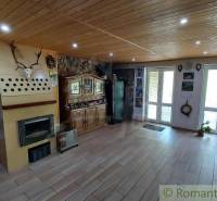 Living room in a family house, light wooden ceilings, fireplace, showcase, hunting trophies.