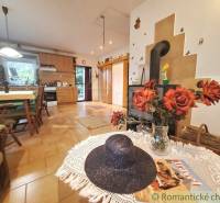Living room with kitchen in a family house; fireplace, flowers, kitchen unit, dining table.
