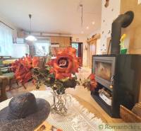 Interior of a family house with a fireplace, wooden chairs, and a vase with red roses.