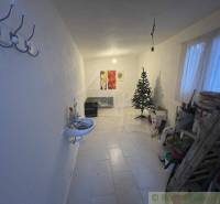 A narrow room with a sink, a tree, shelves, paintings. An ideal part for a family house.