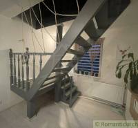Interior of a family house with wooden stairs, a houseplant, and a wall with a deer painting.